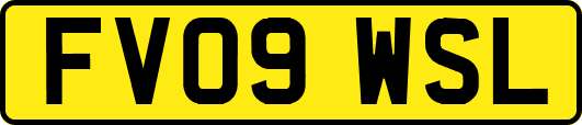 FV09WSL