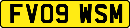 FV09WSM