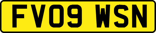 FV09WSN