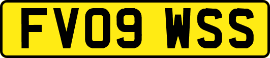 FV09WSS