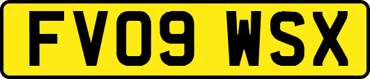 FV09WSX