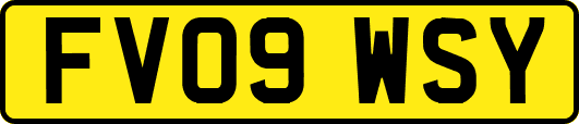 FV09WSY