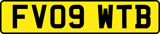 FV09WTB