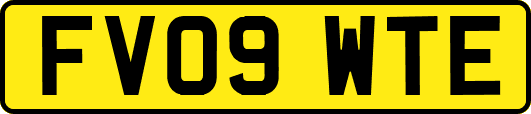 FV09WTE