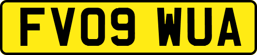 FV09WUA