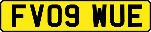 FV09WUE