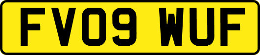 FV09WUF