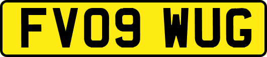 FV09WUG