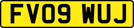 FV09WUJ