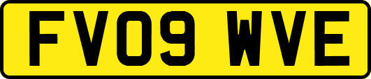 FV09WVE