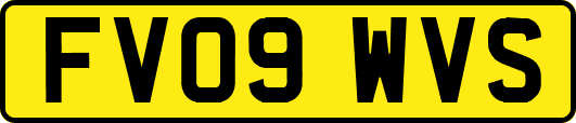 FV09WVS