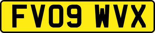 FV09WVX