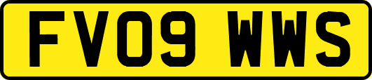 FV09WWS