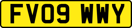 FV09WWY