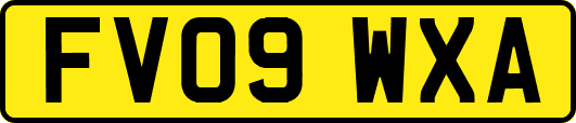 FV09WXA