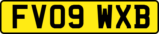 FV09WXB