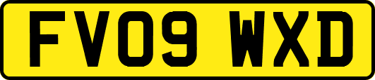 FV09WXD