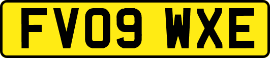 FV09WXE