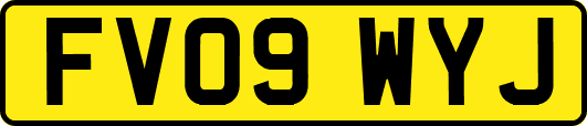 FV09WYJ
