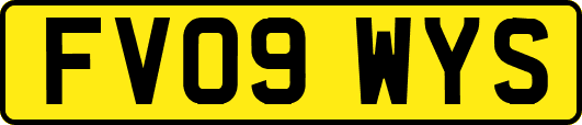 FV09WYS