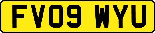 FV09WYU