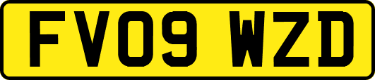 FV09WZD