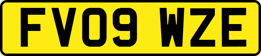 FV09WZE
