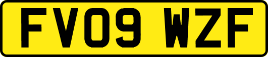 FV09WZF