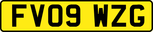FV09WZG