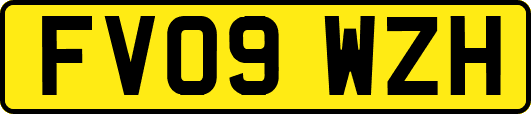 FV09WZH