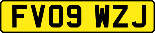FV09WZJ