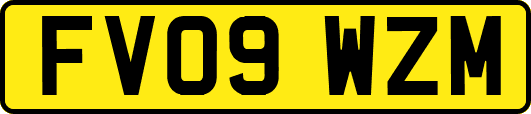 FV09WZM