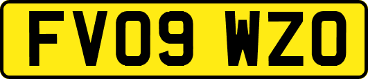 FV09WZO