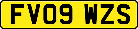 FV09WZS