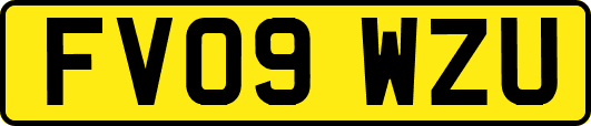 FV09WZU