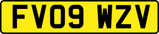 FV09WZV