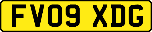 FV09XDG