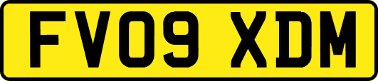 FV09XDM