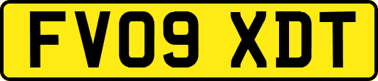 FV09XDT