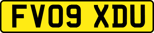 FV09XDU