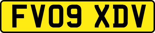 FV09XDV