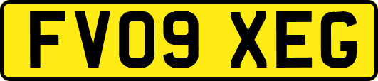 FV09XEG