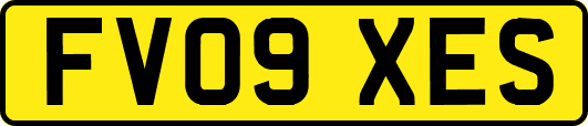 FV09XES