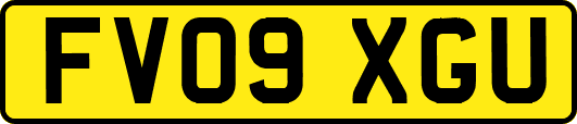 FV09XGU