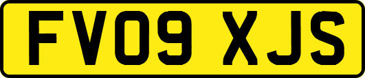 FV09XJS