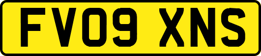 FV09XNS