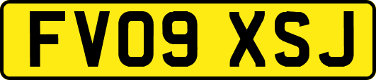 FV09XSJ