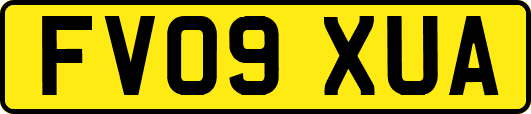 FV09XUA