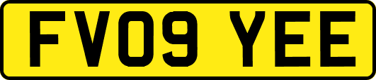 FV09YEE