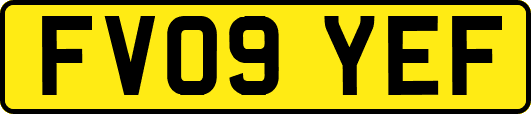 FV09YEF
